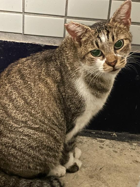 昔の写メ日記を見て思うこと｜写メ日記｜いちか｜立川・八王子・三多摩 ぽっちゃりデリヘル 西東京市小平ちゃんこ