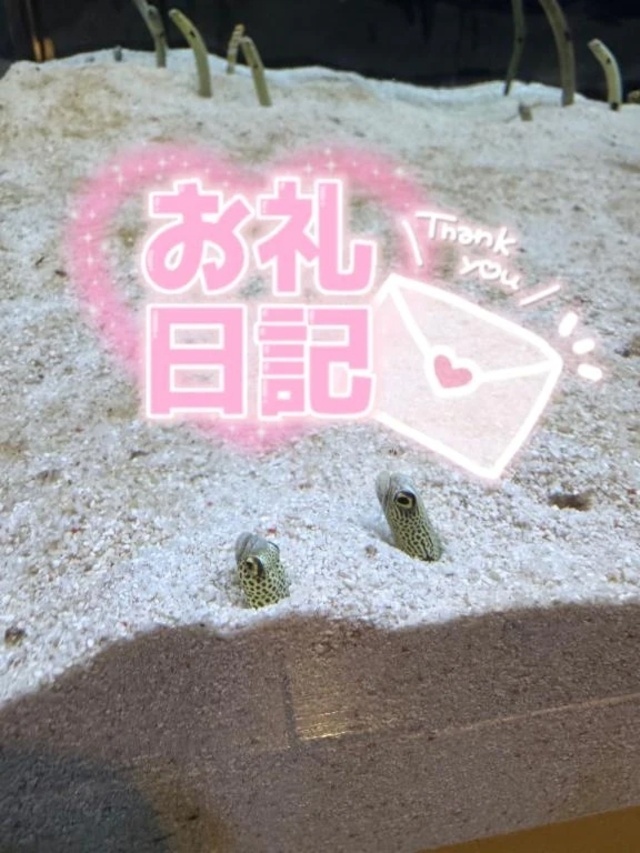 リフレイン　S様💌