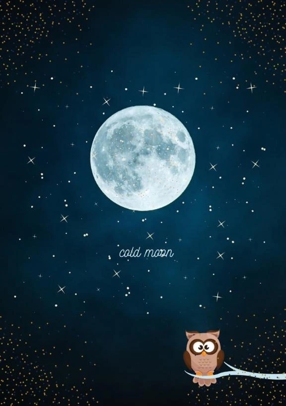 ♡ムーン♡｜写メ日記｜春海｜渋谷 人妻デリヘル 東京人妻フォーシーズンズ