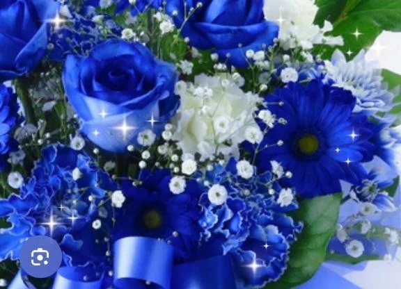 お誘いです♡｜写メ日記｜華｜渋谷 人妻デリヘル 東京人妻フォーシーズンズ