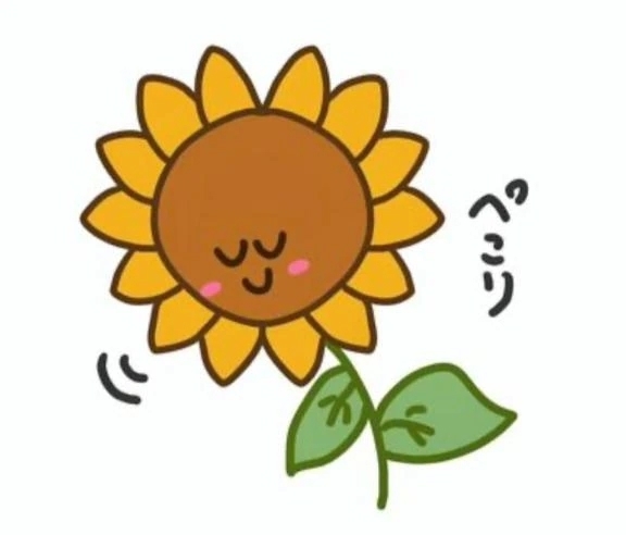 推し♡｜写メ日記｜華｜渋谷 人妻デリヘル 東京人妻フォーシーズンズ