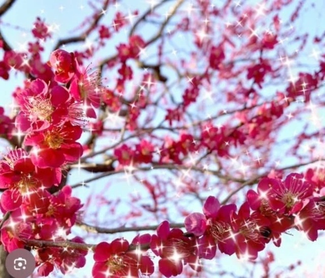 ご予約嬉しいです