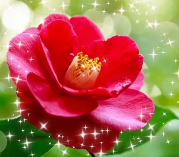 少し遅め…｜写メ日記｜華｜渋谷 人妻デリヘル 東京人妻フォーシーズンズ