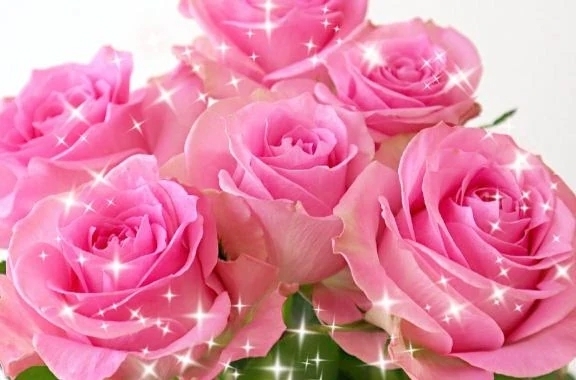 本日19時より｜写メ日記｜華｜渋谷 人妻デリヘル 東京人妻フォーシーズンズ