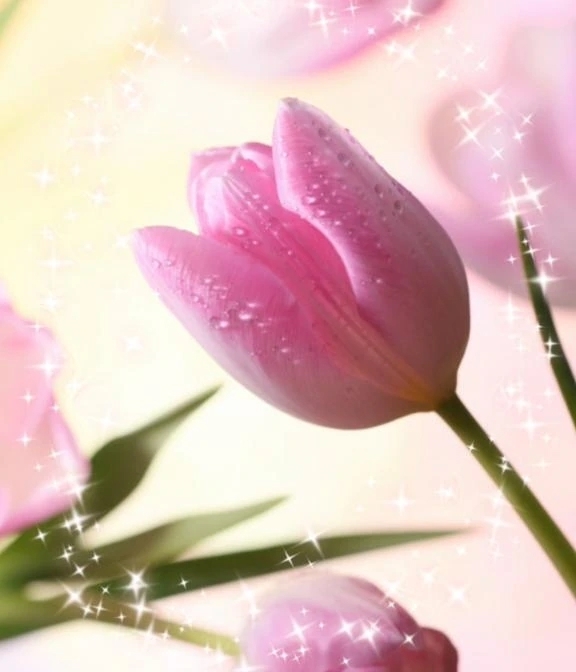 来週の予定です｜写メ日記｜華｜渋谷 人妻デリヘル 東京人妻フォーシーズンズ