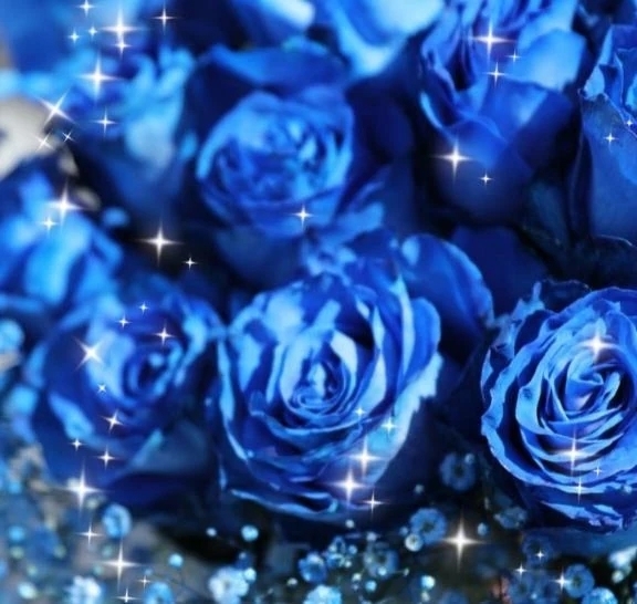 お元気ですか❓｜写メ日記｜華｜渋谷 人妻デリヘル 東京人妻フォーシーズンズ