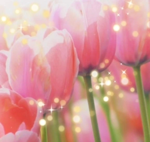 本日参加致します