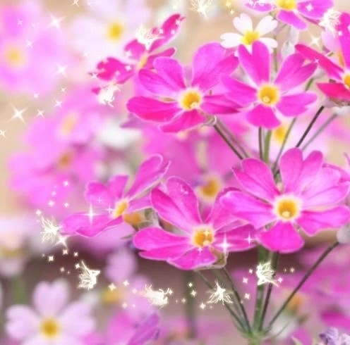 こんにちは❣️｜写メ日記｜華｜渋谷 人妻デリヘル 東京人妻フォーシーズンズ