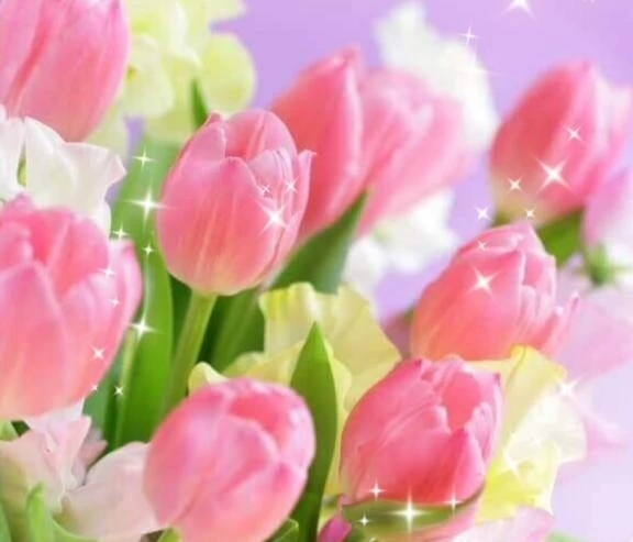 予定表🌹