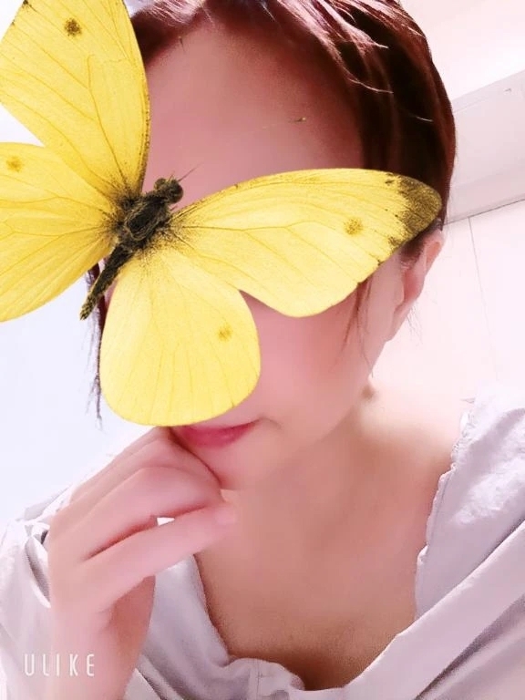 本日は長めに受付しています｜写メ日記｜結衣｜渋谷 人妻デリヘル 東京人妻フォーシーズンズ