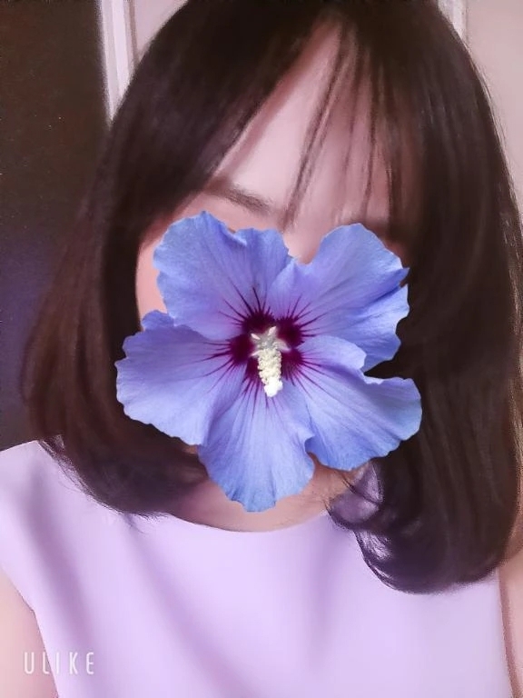 ただいまー
