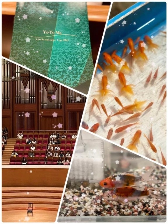 秋の気配🍂｜写メ日記｜愛咲｜渋谷 人妻デリヘル 東京人妻フォーシーズンズ