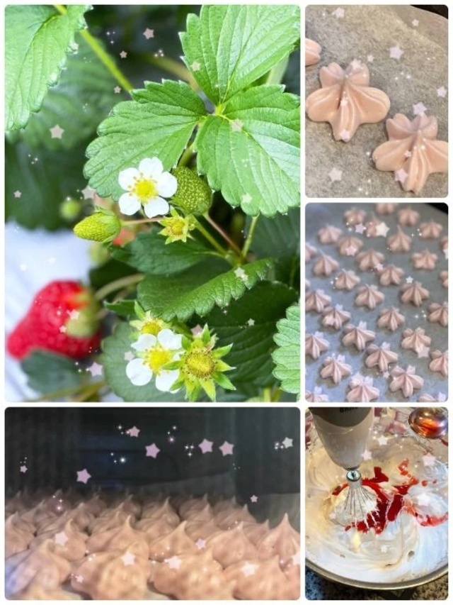 春休み🌸｜写メ日記｜愛咲｜渋谷 人妻デリヘル 東京人妻フォーシーズンズ