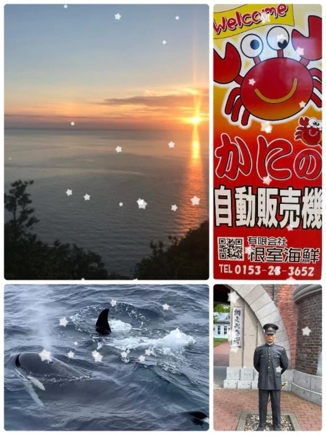 🌻夏休み🍧｜写メ日記｜愛咲｜渋谷 人妻デリヘル 東京人妻フォーシーズンズ