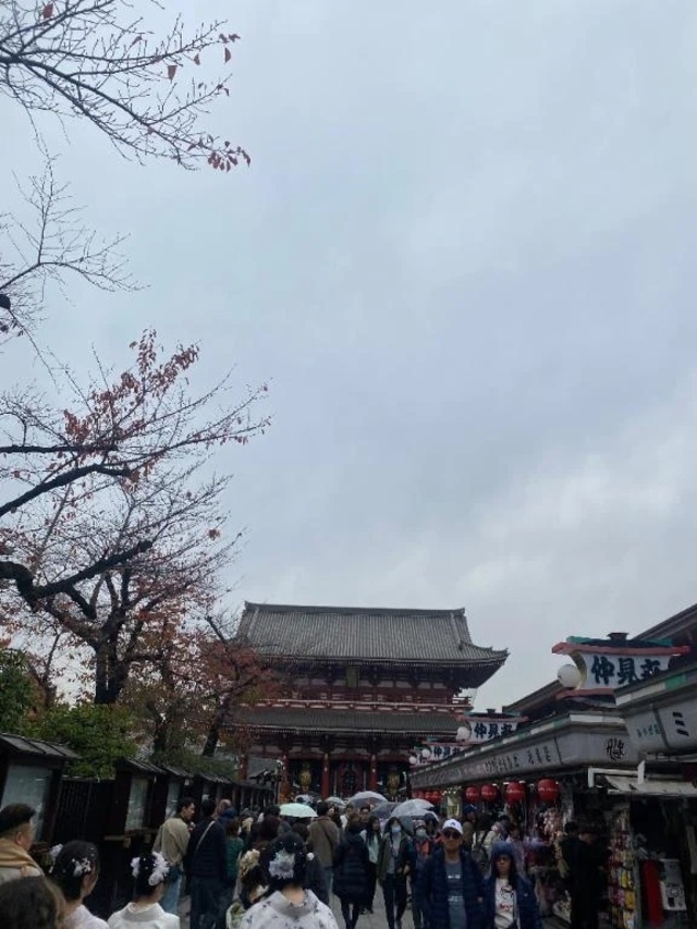 浅草日和｜写メ日記｜牡丹｜渋谷 人妻デリヘル 東京人妻フォーシーズンズ