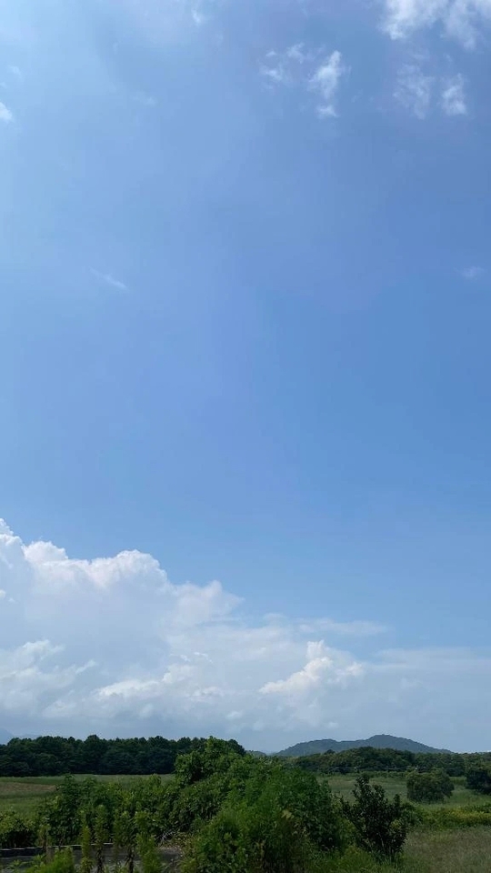 Tさま♡御礼｜写メ日記｜牡丹｜渋谷 人妻デリヘル 東京人妻フォーシーズンズ