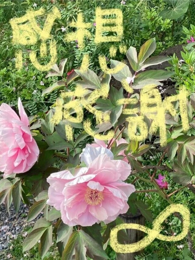 感想ありがとう！！