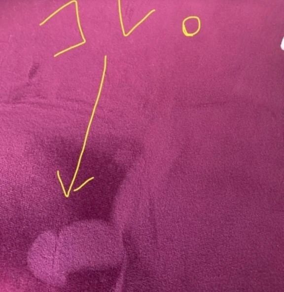 11月17日月曜日りく男性疑惑｜写メ日記｜凛玖｜渋谷 人妻デリヘル 東京人妻フォーシーズンズ