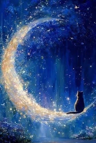 ♡視界外♡