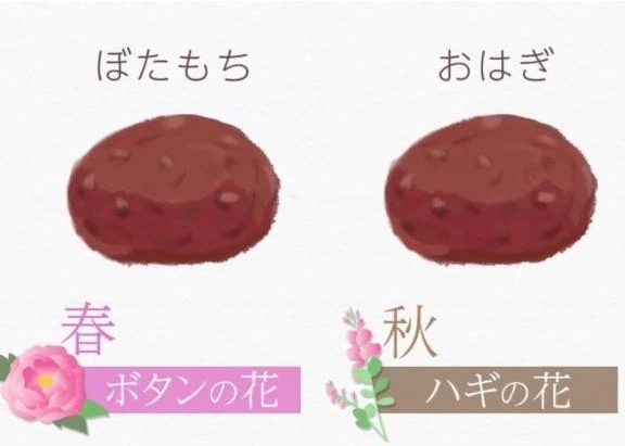 お彼岸｜写メ日記｜知津留｜渋谷 人妻デリヘル 東京人妻フォーシーズンズ