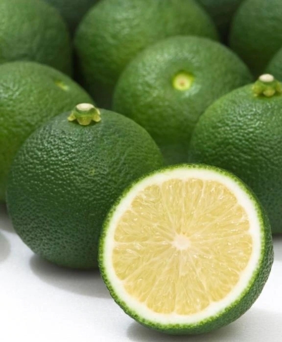 へべす｜写メ日記｜知津留｜渋谷 人妻デリヘル 東京人妻フォーシーズンズ