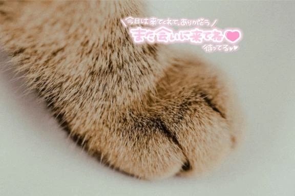 ありがとうございました🙇‍♀️｜写メ日記｜柚子｜渋谷 人妻デリヘル 東京人妻フォーシーズンズ