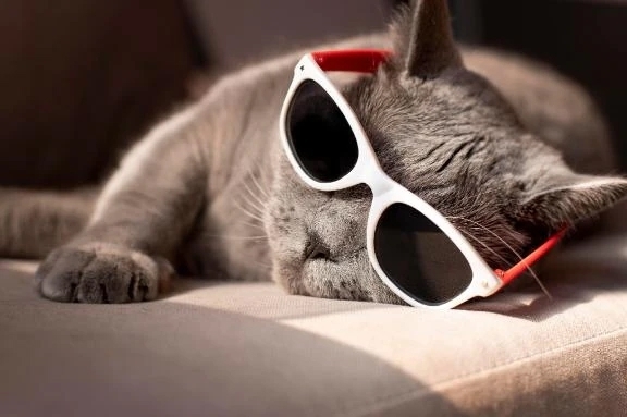 ありがとうございました🥰｜写メ日記｜柚子｜渋谷 人妻デリヘル 東京人妻フォーシーズンズ