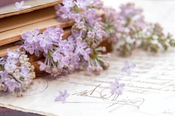 ありがとうございました💗｜写メ日記｜柚子｜渋谷 人妻デリヘル 東京人妻フォーシーズンズ