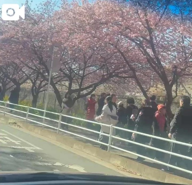 素敵🥹｜写メ日記｜莉穂｜渋谷 人妻デリヘル 東京人妻フォーシーズンズ