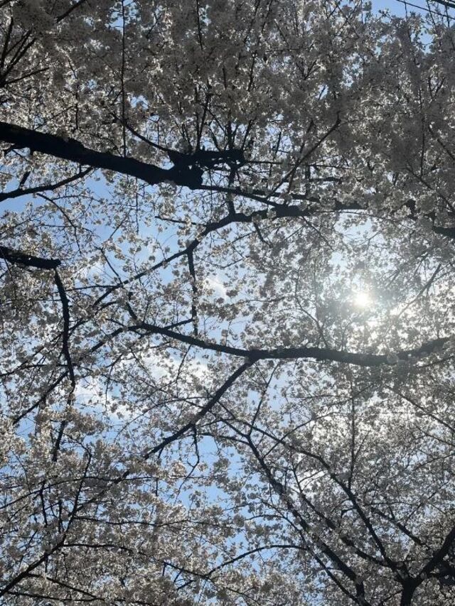 明日出勤します｜写メ日記｜莉穂｜渋谷 人妻デリヘル 東京人妻フォーシーズンズ