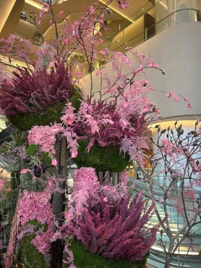 急遽💕｜写メ日記｜蜜莉｜渋谷 人妻デリヘル 東京人妻フォーシーズンズ