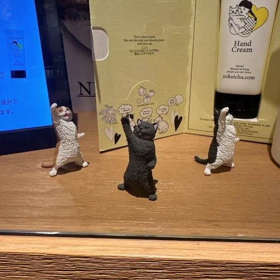 お久しぶりです😊｜写メ日記｜瀬里奈｜渋谷 人妻デリヘル 東京人妻フォーシーズンズ