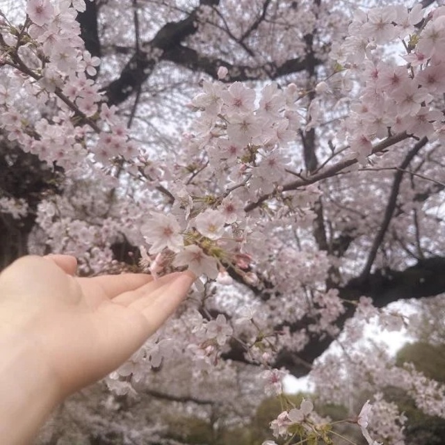 シフトあげました🎀｜写メ日記｜瀬里奈｜渋谷 人妻デリヘル 東京人妻フォーシーズンズ