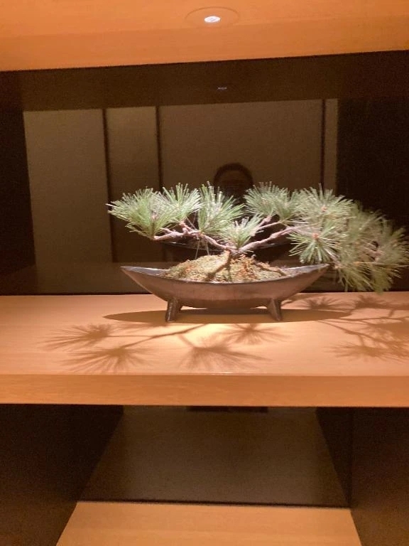 こんばんは｜写メ日記｜伊世｜渋谷 人妻デリヘル 東京人妻フォーシーズンズ