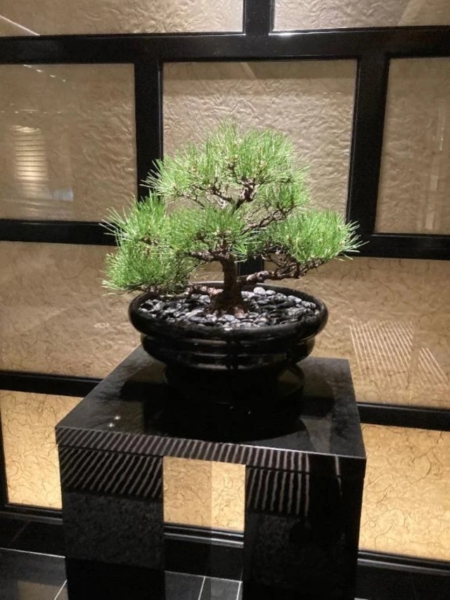 伊世です。