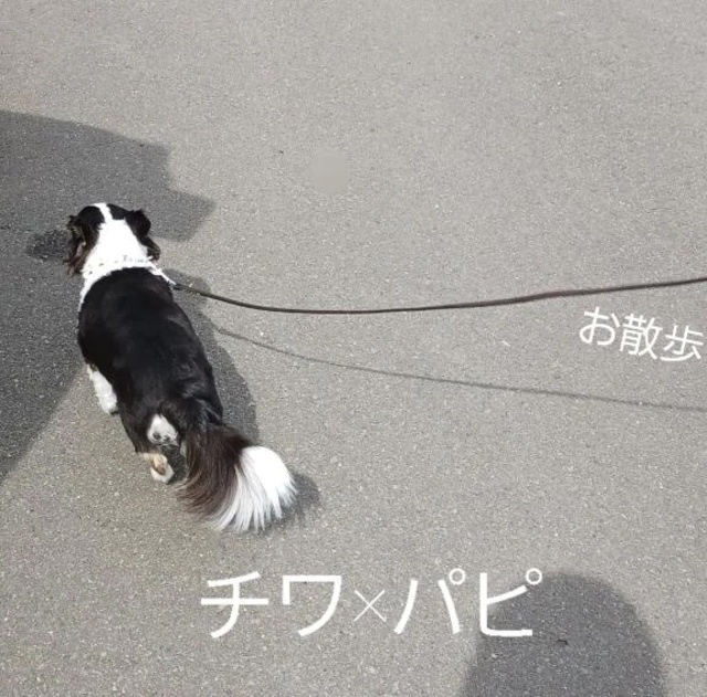アン◯シャルパンティエ　　フィナンシェ