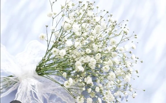 大好きなお時間おしえてください