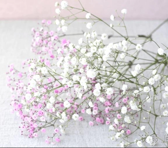 こんな世界があるなんて｜写メ日記｜翠｜渋谷 人妻デリヘル 東京人妻フォーシーズンズ