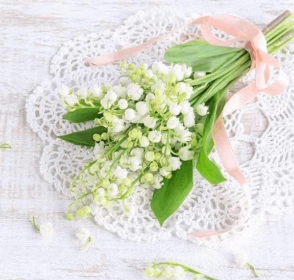 今日のお目覚は❔️｜写メ日記｜翠｜渋谷 人妻デリヘル 東京人妻フォーシーズンズ