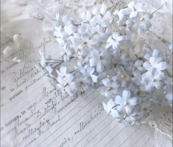 もう、木曜日ですね✨️｜写メ日記｜翠｜渋谷 人妻デリヘル 東京人妻フォーシーズンズ