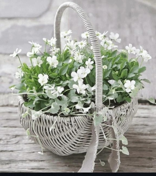 ルン🎶ルン🎶