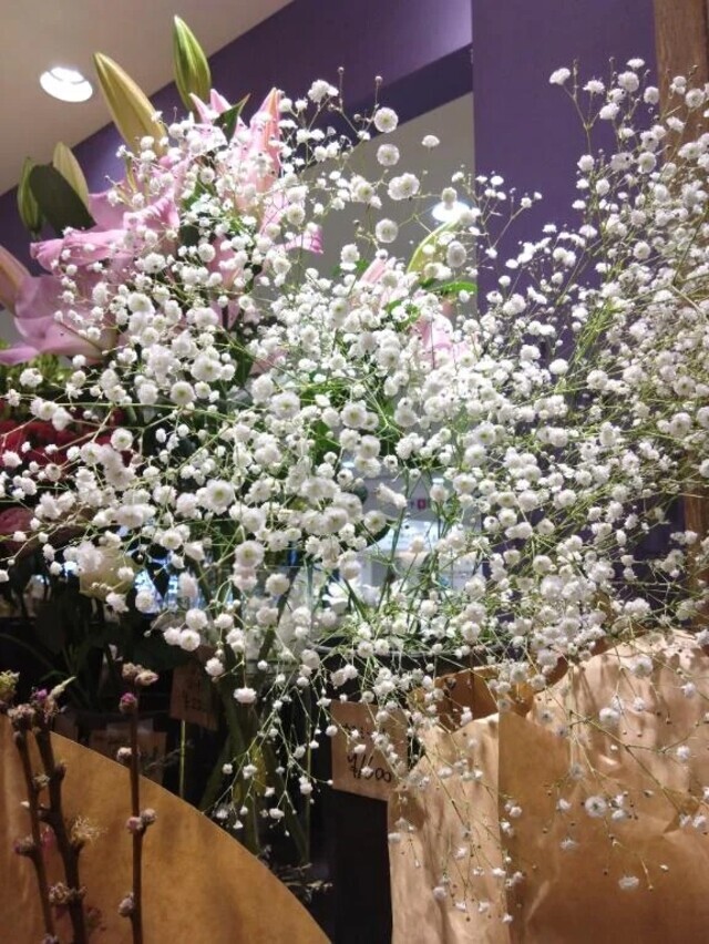 とってもいいお天気｜写メ日記｜翠｜渋谷 人妻デリヘル 東京人妻フォーシーズンズ