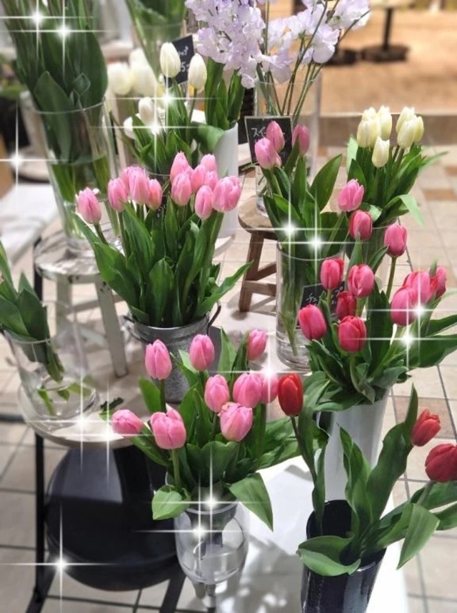 🌸しあわせ🌸｜写メ日記｜翠｜渋谷 人妻デリヘル 東京人妻フォーシーズンズ