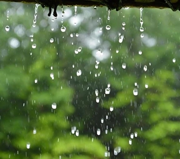 雨も好き