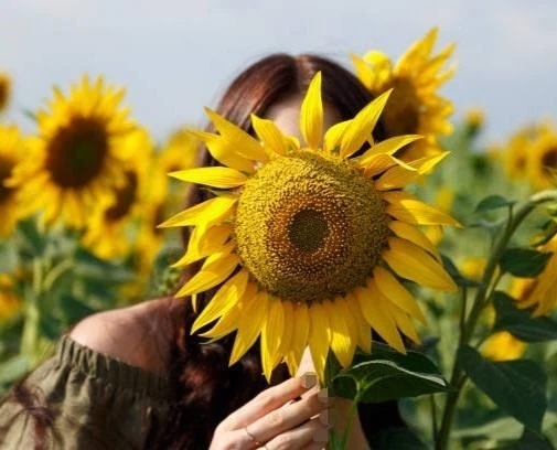 おはよう🌻｜写メ日記｜花音｜渋谷 人妻デリヘル 東京人妻フォーシーズンズ