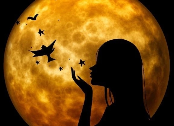 今日は満月🌕｜写メ日記｜花音｜渋谷 人妻デリヘル 東京人妻フォーシーズンズ