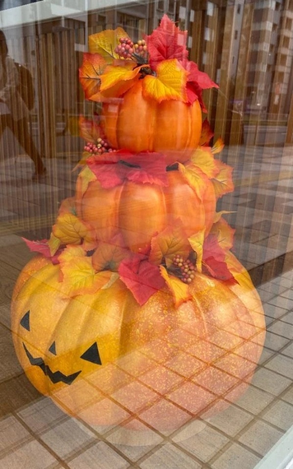 🍁手ぶらでお越しください🍁｜写メ日記｜佳凛｜渋谷 人妻デリヘル 東京人妻フォーシーズンズ