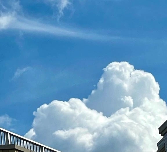 夏空✨｜写メ日記｜宏美｜渋谷 人妻デリヘル 東京人妻フォーシーズンズ
