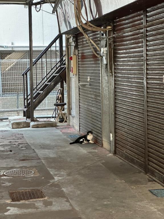 終わったと思ったら…｜写メ日記｜実里（みのり）｜錦糸町・小岩・葛西 人妻デリヘル 丸妻　錦糸町店