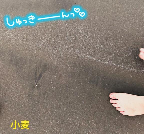 出勤しています✨｜写メ日記｜小麦（こむぎ）｜錦糸町・小岩・葛西 人妻デリヘル 丸妻　錦糸町店